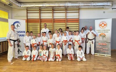 Egzamin na stopnie szkoleniowe kyu